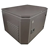 Бензиновый генератор FUBAG BS 5500 A ES в супертихом зимнем кожухе 1400SS RAL 8019